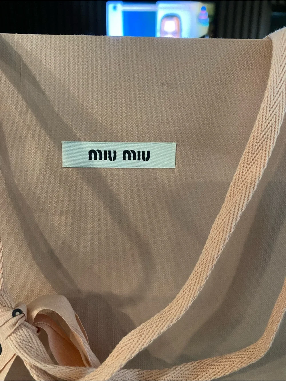 Miu Miu Blush Pink paper bag with Ribbon Accent